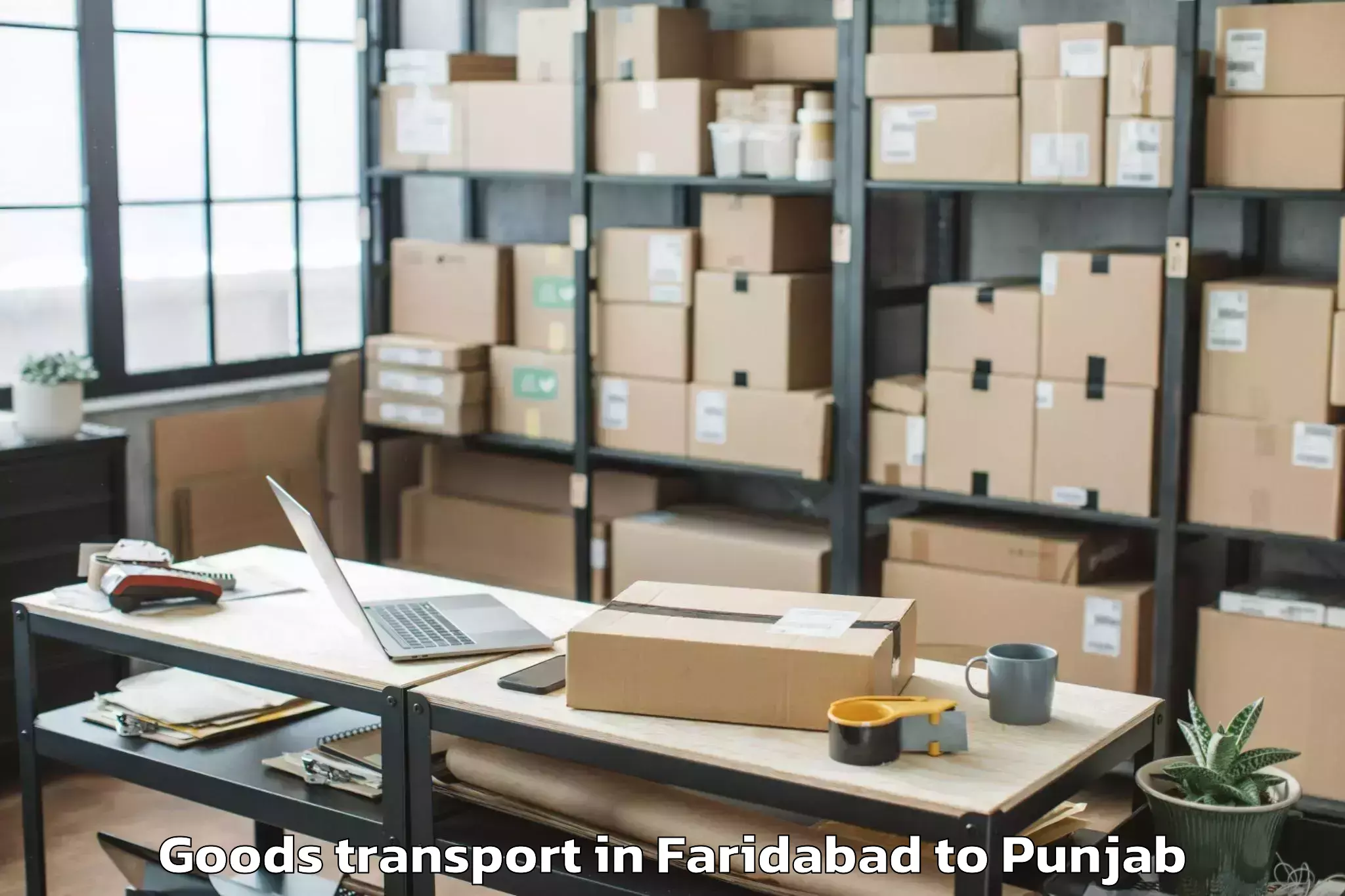 Faridabad to Mansa Goods Transport